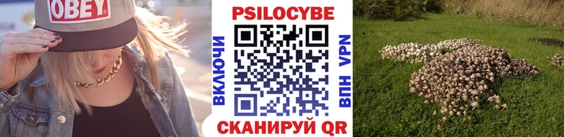 Купить закладки  Михайловка  Псилоцибиновые грибы мухоморы 